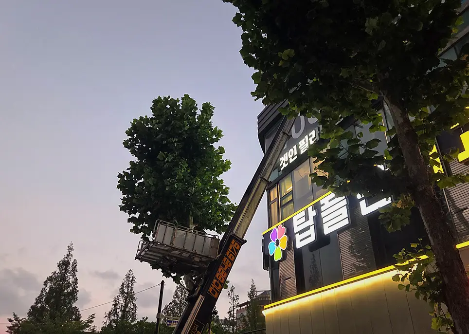 안양 동안구 악취제거 잘하는곳 작업 전후 3